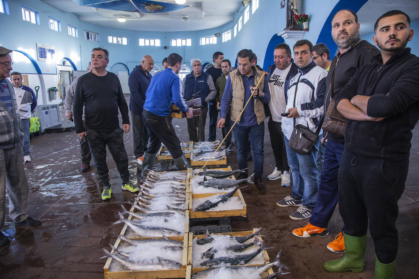 La fuga de doradas y lubinas de jaulas tira los precios del pescado en la lonja de Cartagena