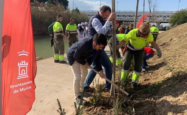 El Plan Foresta llega a Murcia Río con la plantación de casi un centenar de árboles