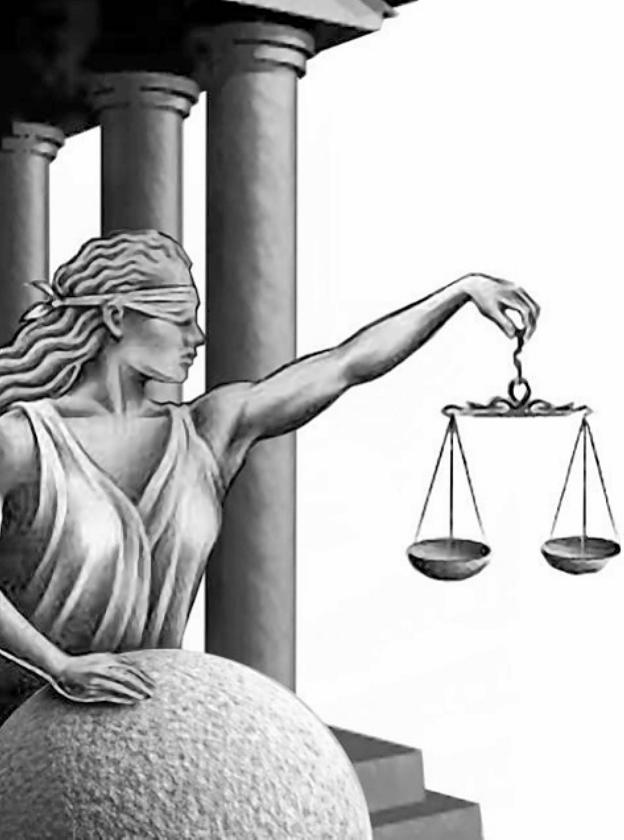 Parlamento y órganos constitucionales