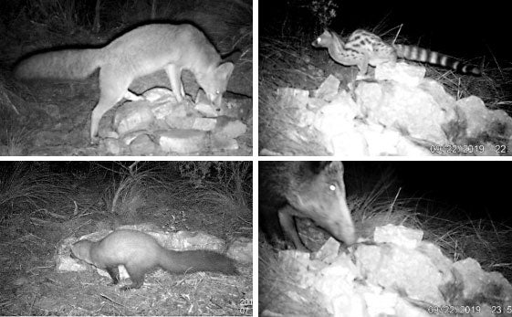 Radiografía inédita de la Sierra de la Pila