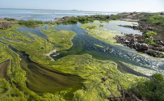 Temor a una 'Semana Santa negra' entre la 'sopa' del Mar Menor y la huelga hostelera