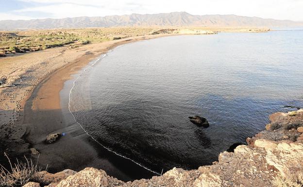 Iberdrola se juega su última baza legal para construir en la Marina de Cope