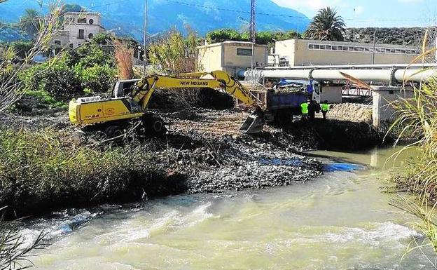 Las brigadas limpian de cañas 1,5 kilómetros del cauce del río en Ulea