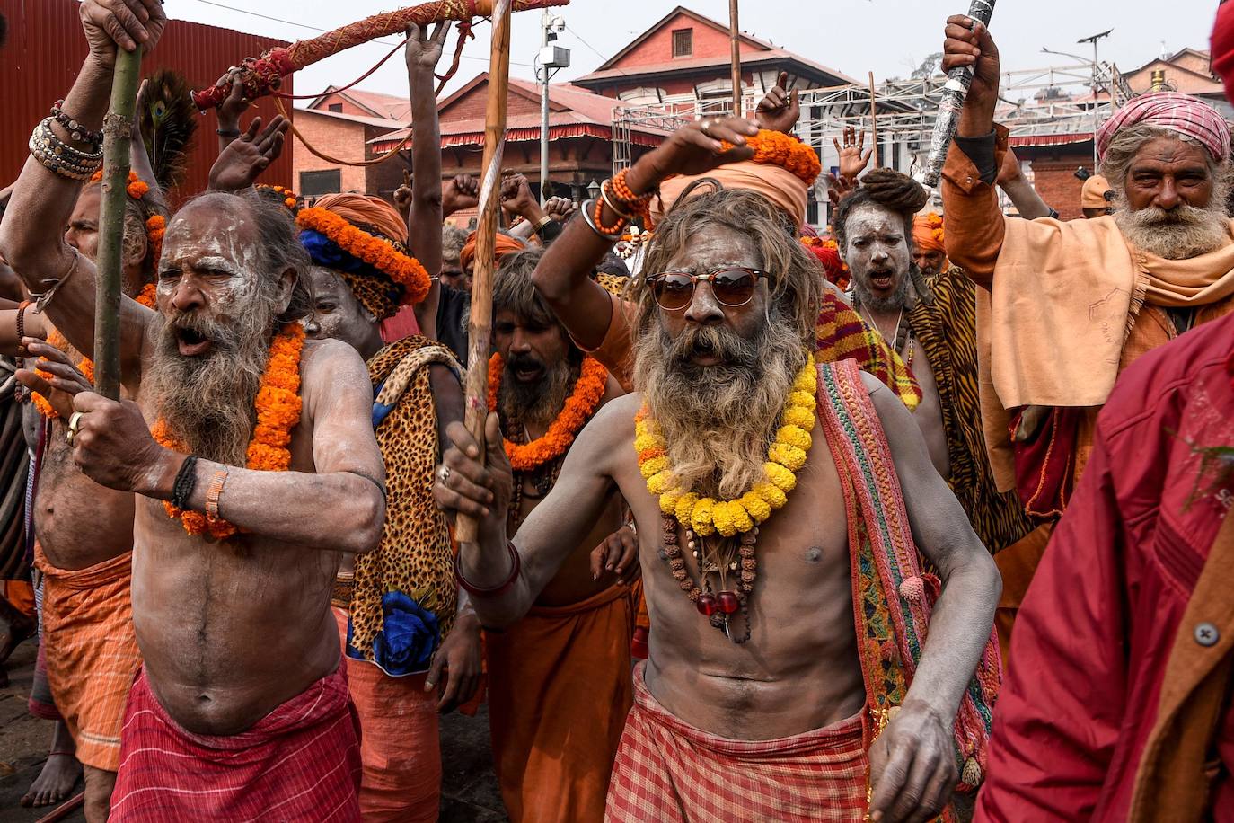 Preparados para Shiva