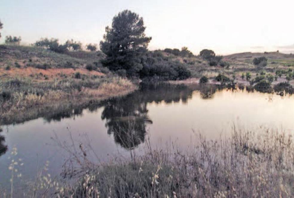 En un rincón desconocido de Yecla