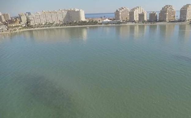 Greenpeace celebra que el juzgado admita su personación en la causa penal del Mar Menor