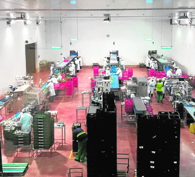 La demanda interna de frutas y verduras se estabiliza, y en Europa se mueve a impulsos