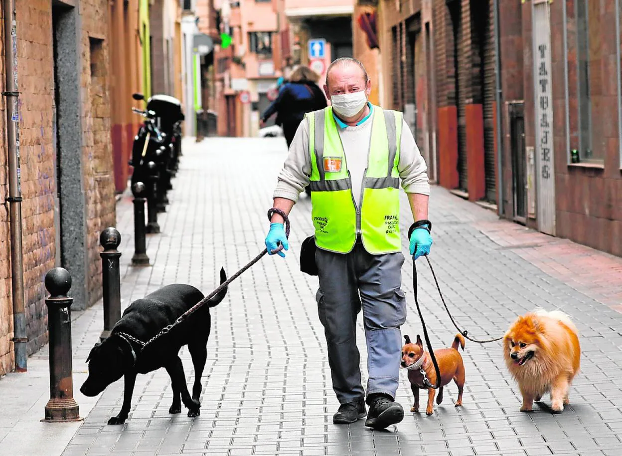 Pino Cambiable Pensativo Paseo a las mascotas de los que no pueden bajar a la calle» | La Verdad