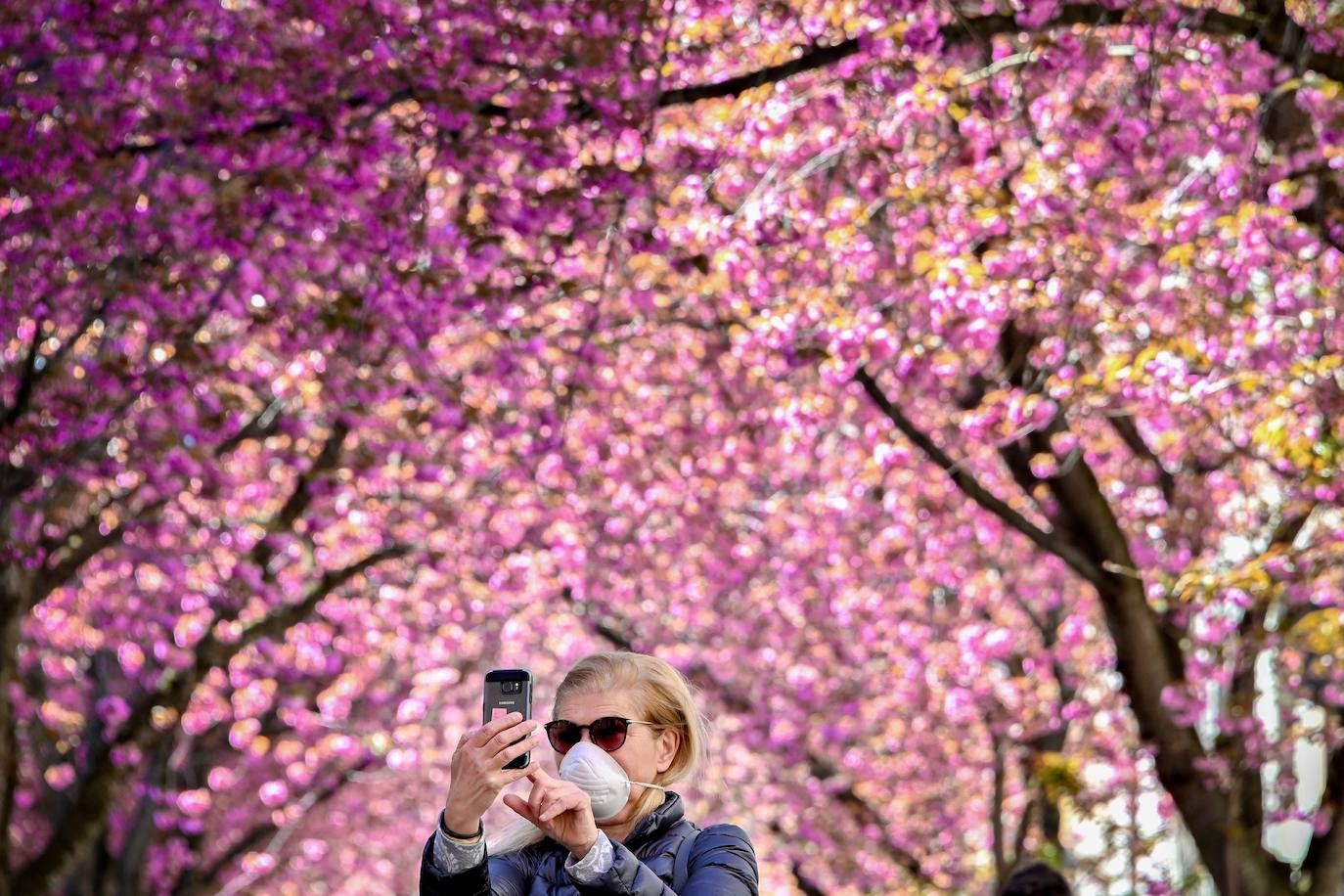 También florece en Alemania