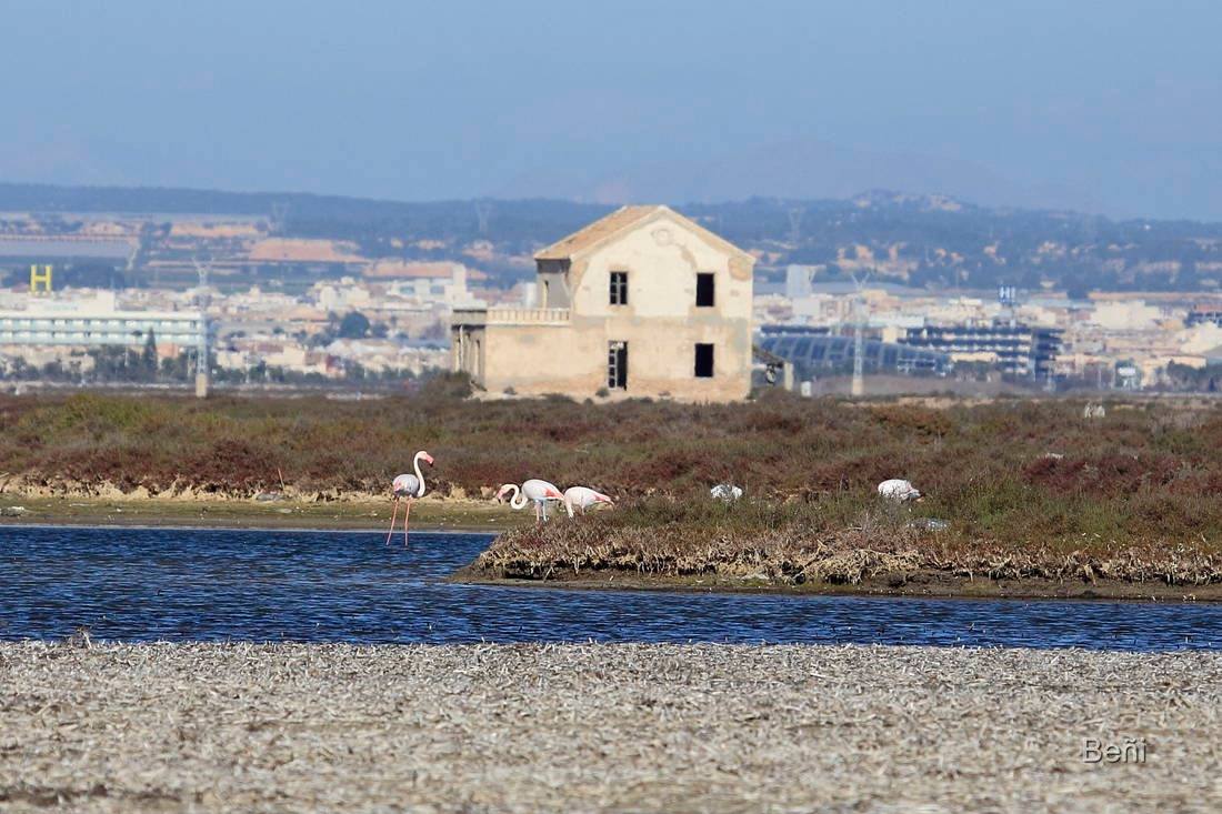 La olvidada Encañizada del Ventorrillo