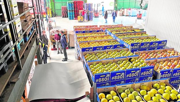 El Banco de Alimentos del Segura gestiona 224 toneladas de alimentos