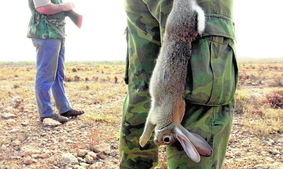 Dad una oportunidad al conejo