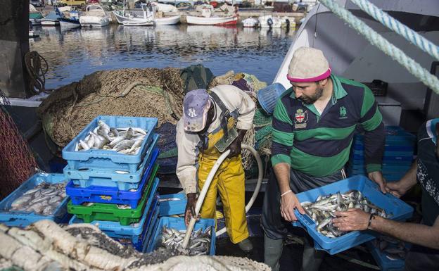 El PP regional pide al Ministerio «blindar» al sector pesquero frente a la importación
