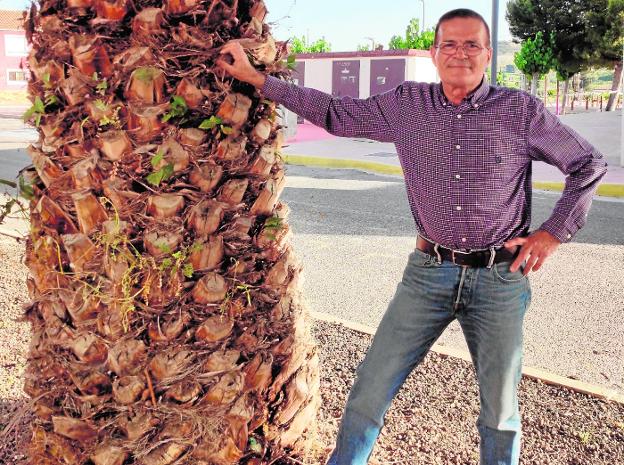 Miguel Pérez Vidal: «Salir heridos de grandes problemas nos anima a rectificar»