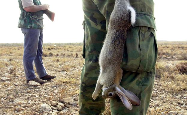 Caza: las órdenes de vedas 2020-2021