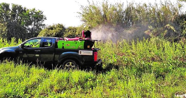 Fumigan varias zonas de Yecla para luchar contra los mosquitos