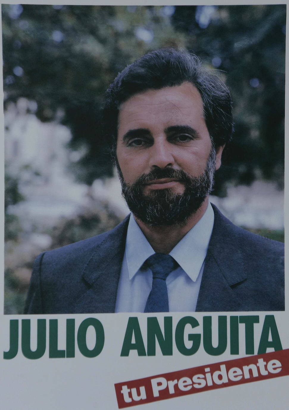 La carrera de Julio Anguita, en imágenes
