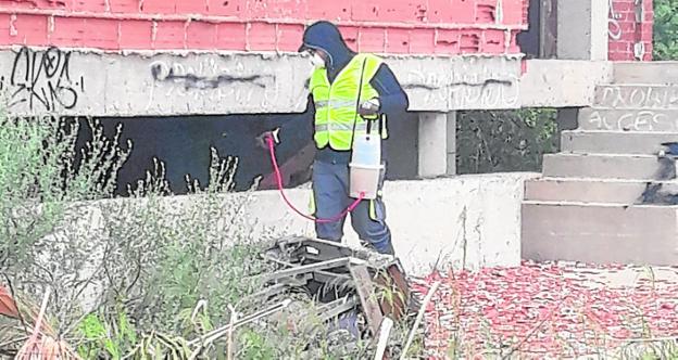 San Javier se blinda contra los mosquitos