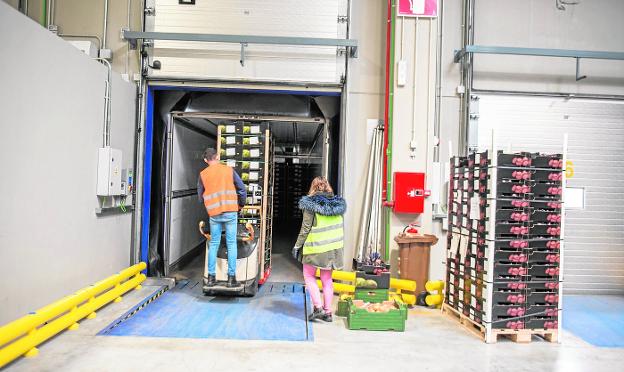 El envío de frutas y verduras a los mercados europeos baja un 30% por el clima y el confinamiento