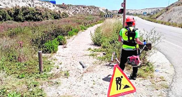 Las brigadas limpian de maleza la Vía Verde de Campos del Río
