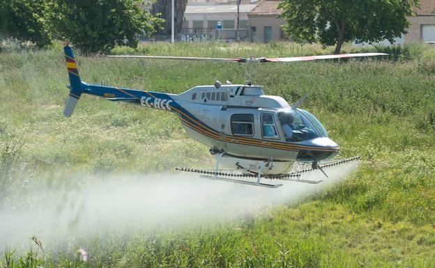 Salud refuerza la vigilancia frente al mosquito tigre en colaboración con los ayuntamientos