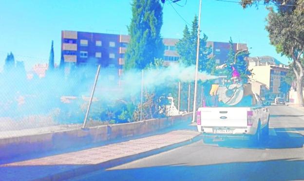 Alerta general en los municipios para combatir al mosquito tigre