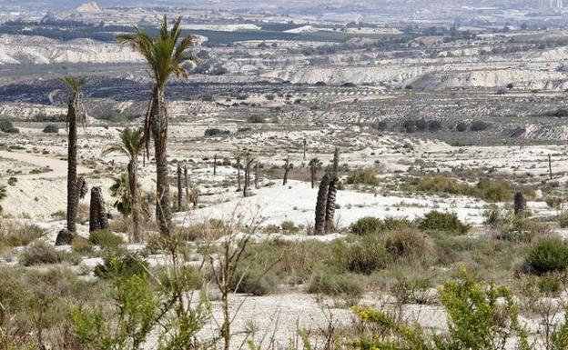400 afectados por las promociones de Trampolin han recuperado su dinero