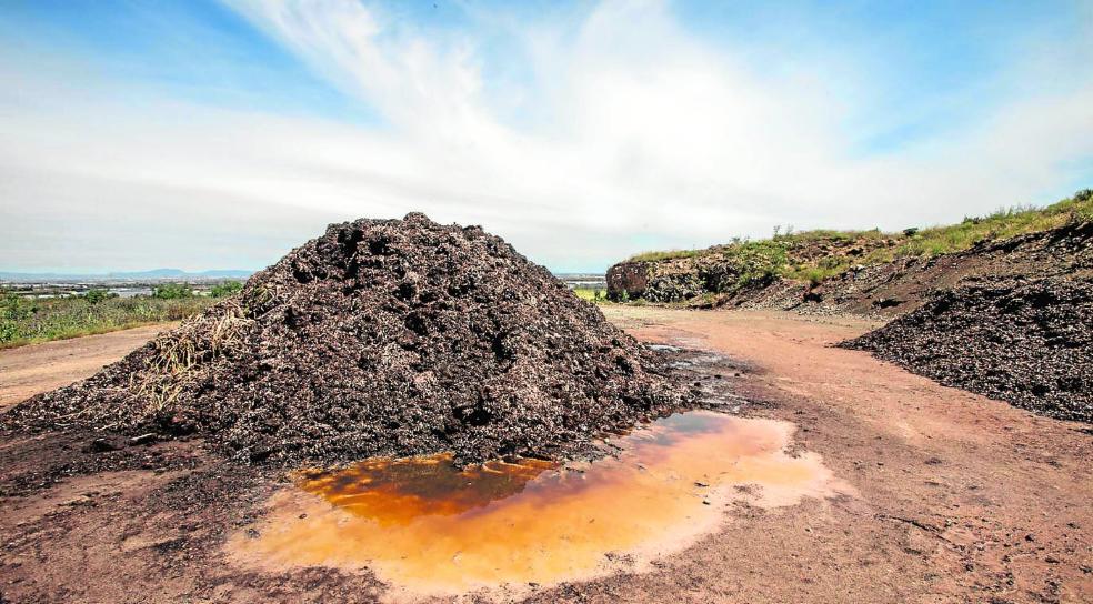 Repoblar un antiguo volcán contra el cambio climático