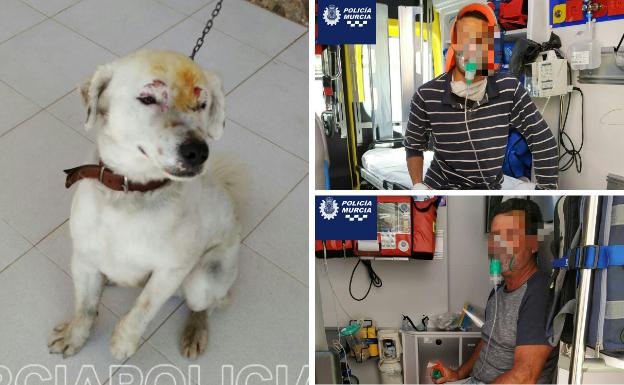 Dos hombres rescatan a un perro atado en un incendio en Sucina