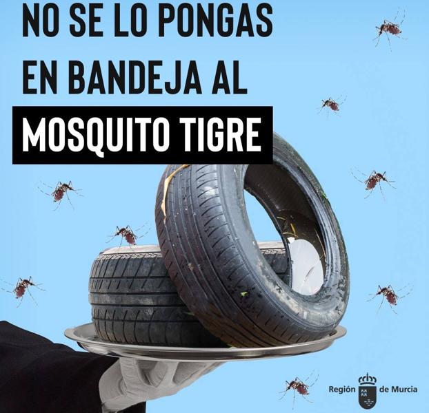 La guerra contra el mosquito tigre se libra en casa