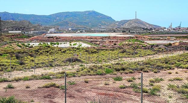 Medio Ambiente prepara sanciones por la falta de limpieza en las balsas de Zinsa