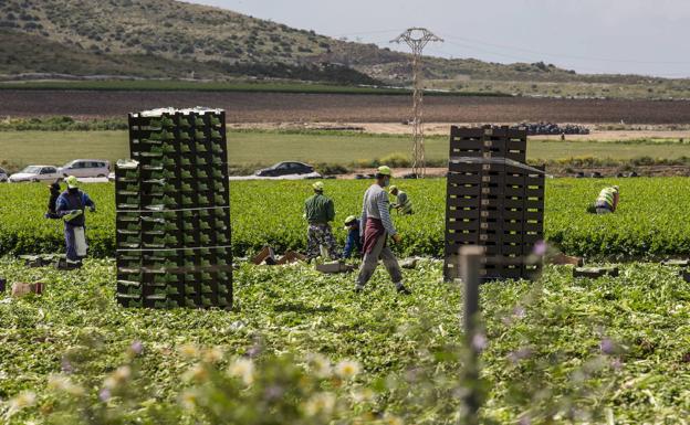 Villegas advierte de que «no hay un control adecuado de la movilidad de trabajadores del campo»