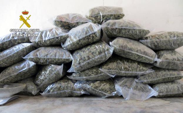 Desmantelan una instalación dedicada al cultivo intensivo de marihuana en Pliego