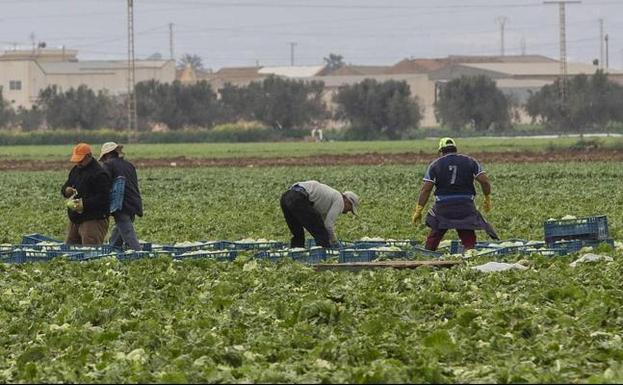 Diez infectados ya entre los jornaleros llegados de Francia