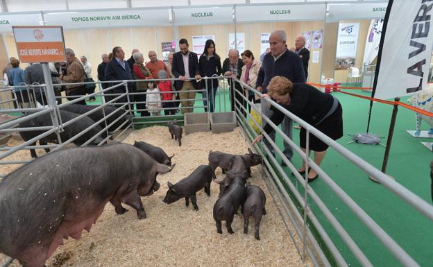 Suspendida la feria ganadera Sepor en Lorca por el coronavirus