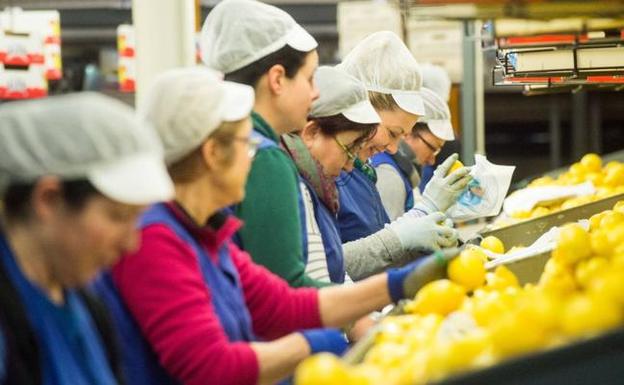 Unos 4.500 trabajadores del envasado de limón cobrarán un 9% más en cinco años