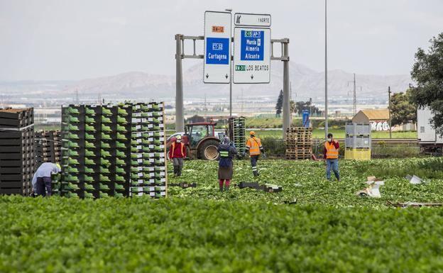 La 'nueva normalidad' no frena el paro en la Región de Murcia, que suma 1.761 desempleados más