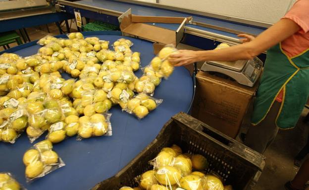 Abren expediente a tres empresas de la Región de Murcia por incumplir la ley de la Cadena Alimentaria