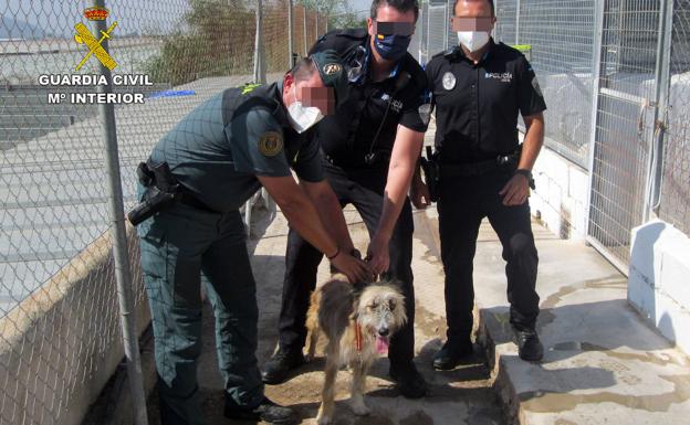 La Guardia Civil investiga a un vecino de Águilas por dar patadas y puñetazos a su perro