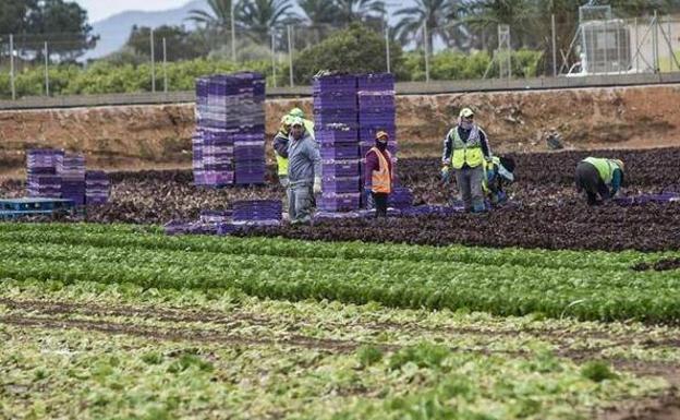 El paro aumenta menos en el Campo de Cartagena y el Mar Menor durante la pandemia