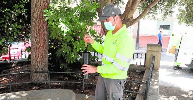 Intensifican el control del mosquito tigre en Lorca con más trampas