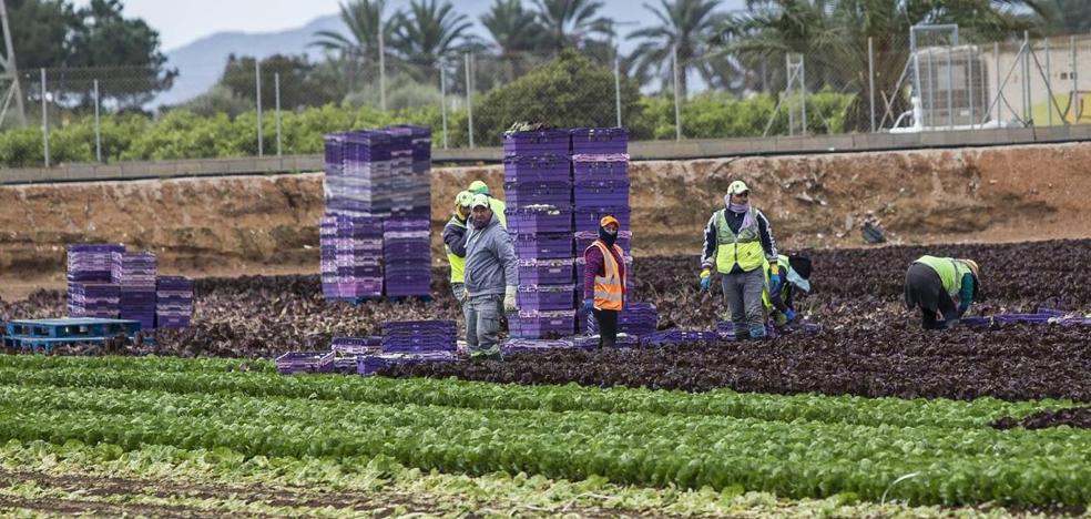 BBVA suaviza la caída en el crecimiento de la Región de Murcia por el sector agroalimentario