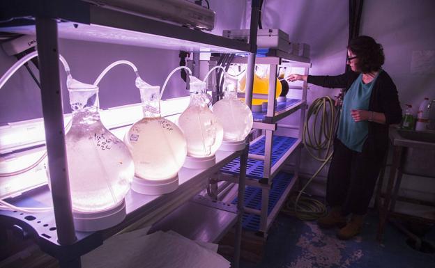 Los investigadores piden al ministro Duque que no convierta el IEO en un centro «de segunda»