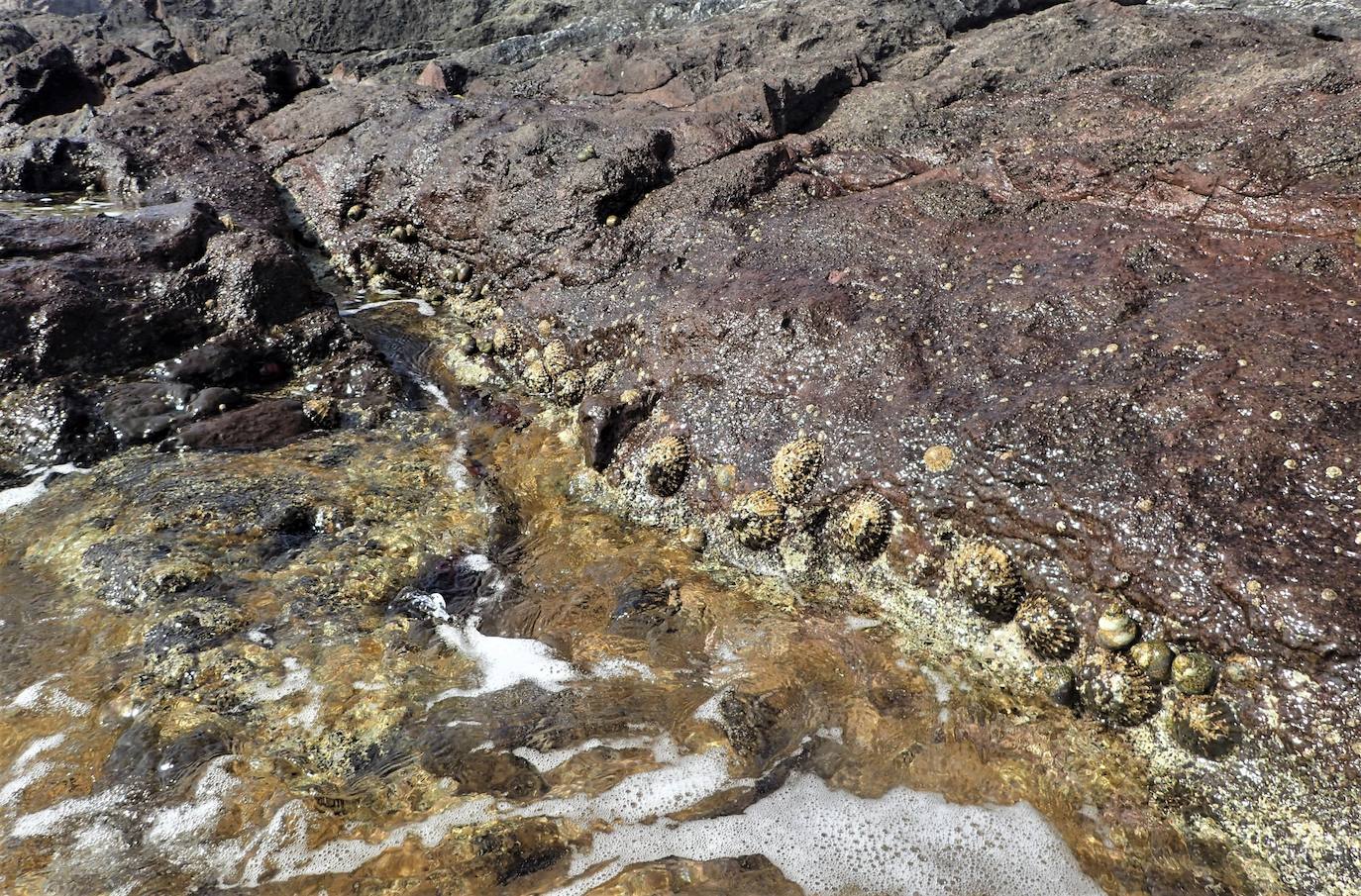 Mucho más que una lapa