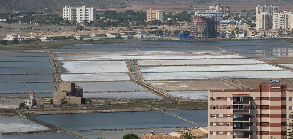 La fauna protegida del Mar Menor tendrá nuevo hogar en Marchamalo