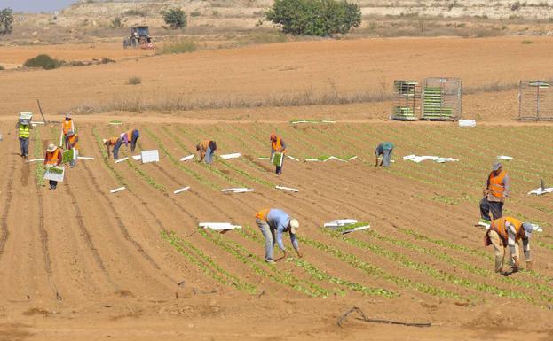 Los contratos a través de ETT son «la norma», critican los sindicatos