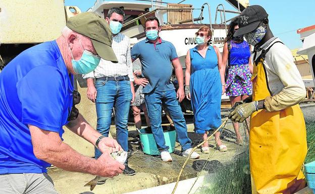 Luengo destaca la «cantidad y calidad» de las capturas de la cofradía de pescadores de San Pedro