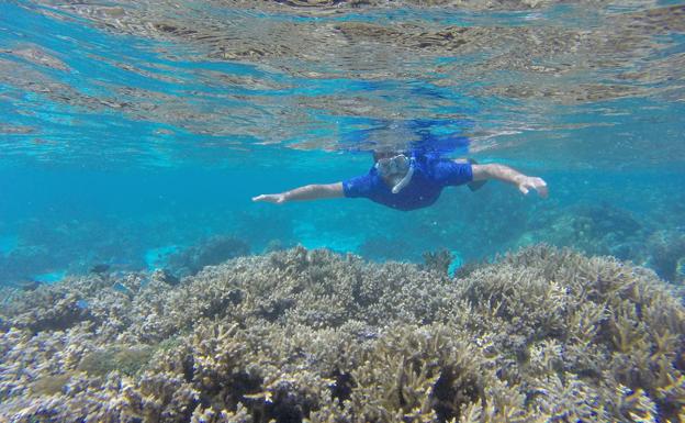 «No hay nada más inhóspito que un desierto marino»