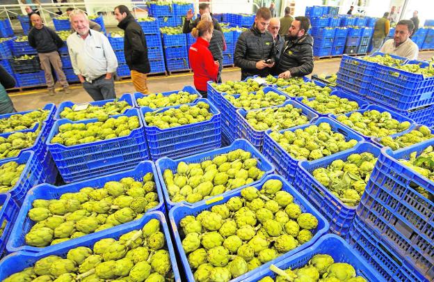 Más de 40 años pujando por el campo