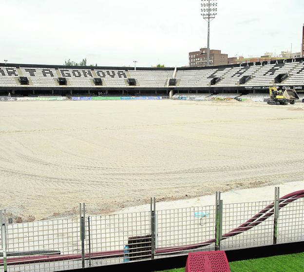 Royalverd pondrá el lunes el césped en un Cartagonova que avanza a buen ritmo